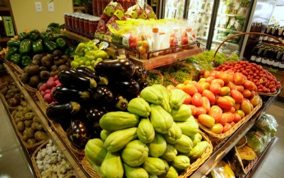 Número de produtores orgânicos no Brasil triplica em sete anos