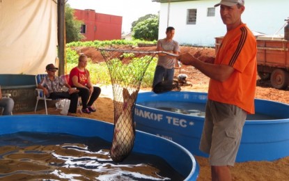Tradicional Feira do Peixe de Taquaruçu do Sul inicia nesta quinta-feira