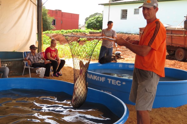 Tradicional Feira do Peixe de Taquaruçu do Sul inicia nesta quinta-feira