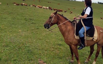 RS emite alerta sanitário para aumento de focos de raiva por herbívoros no Estado