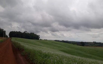 Após muita chuva, Sul deve ter tempo firme para os próximos dias