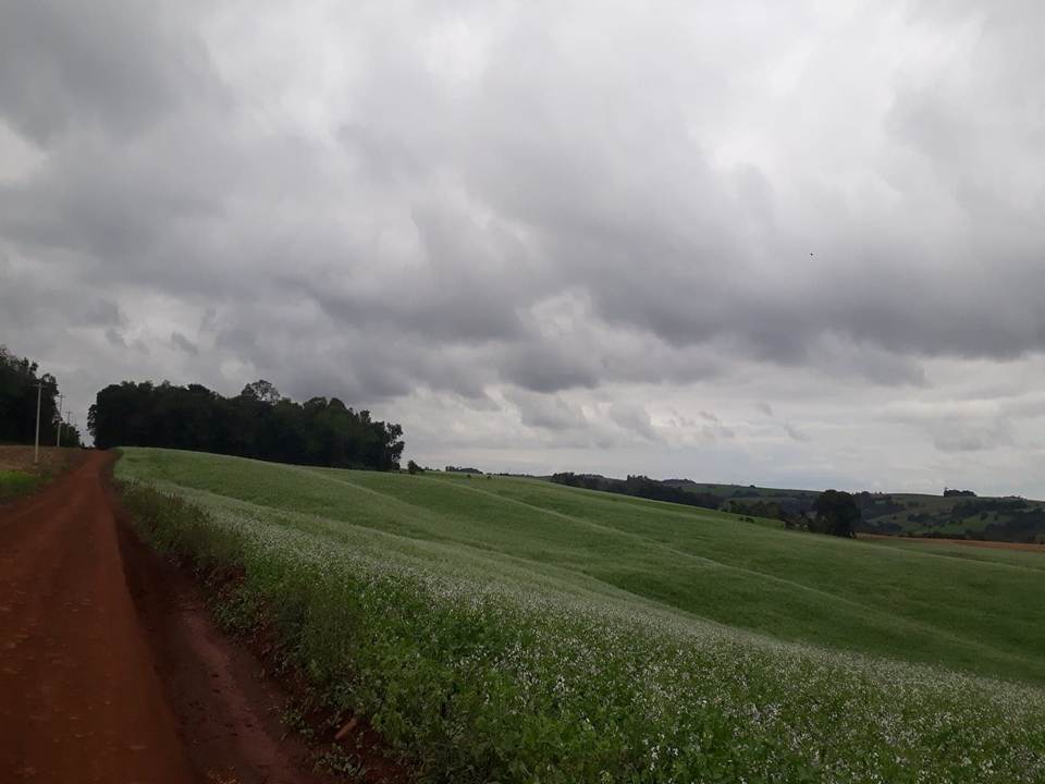 El Niño fraco trará umidade e temperaturas acima da média neste inverno