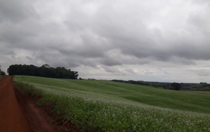 Tempo seco com chuvas isoladas é a previsão para a próxima semana