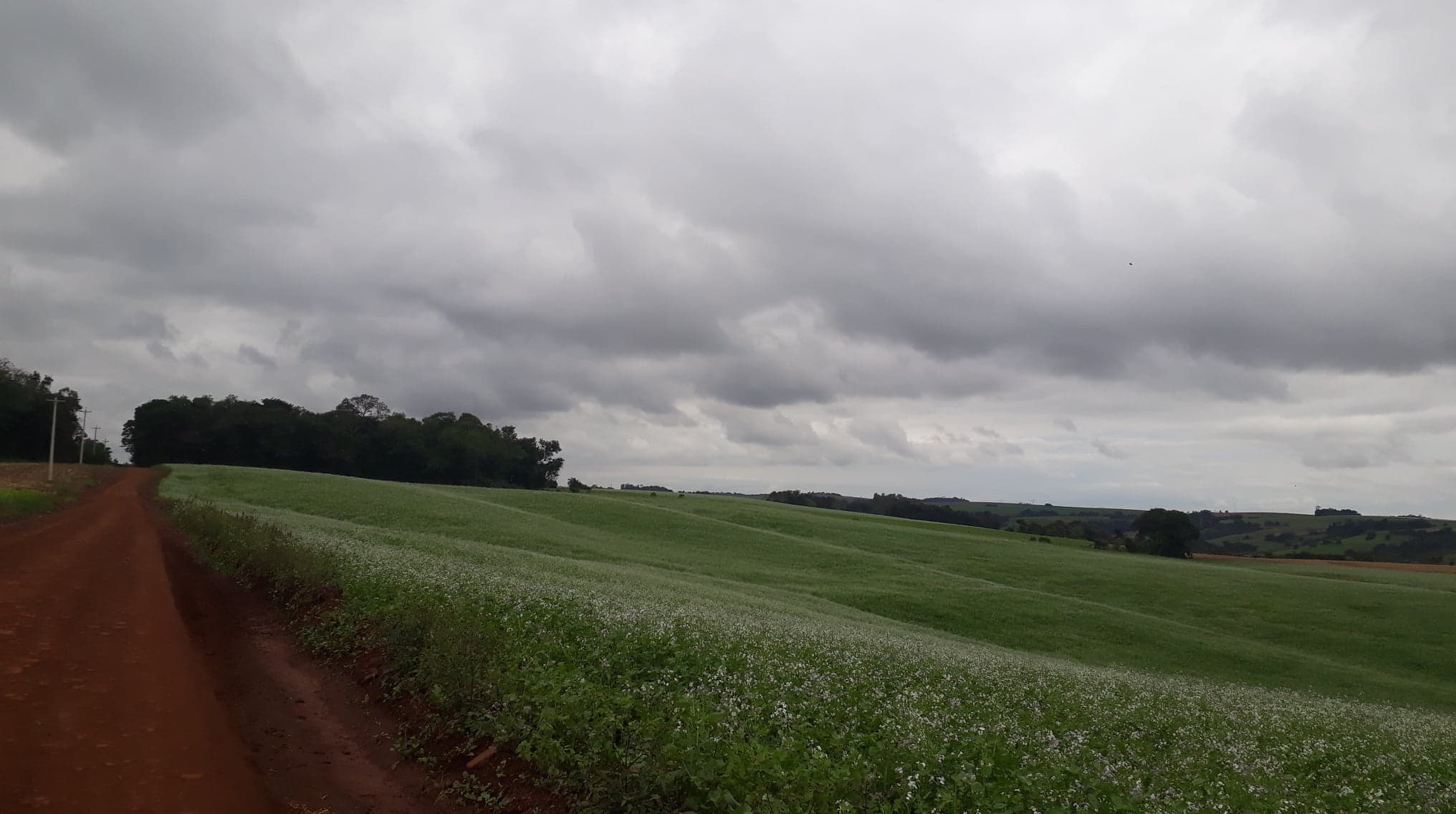 Tempo seco com chuvas isoladas é a previsão para a próxima semana