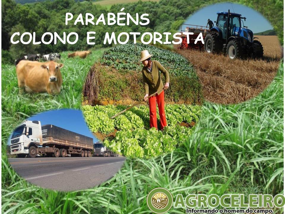 25 de Julho Dia do Colono e Motorista