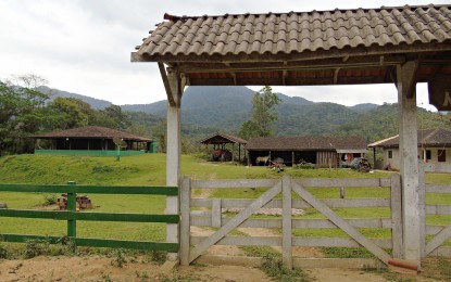 ”Abrir a porteira” para o turismo rural pode ser fonte extra de renda