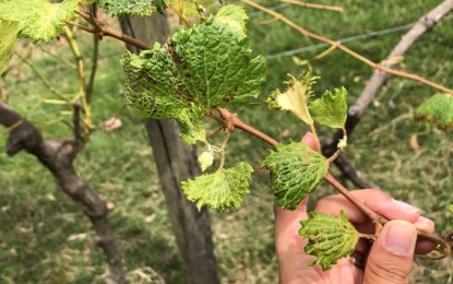 RS estabelece regras para aplicação de agrotóxicos para evitar deriva