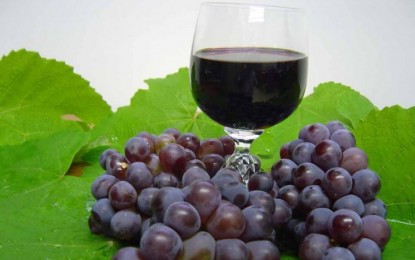 9ª Amostra do Vinho Artesanal de Chiapetta