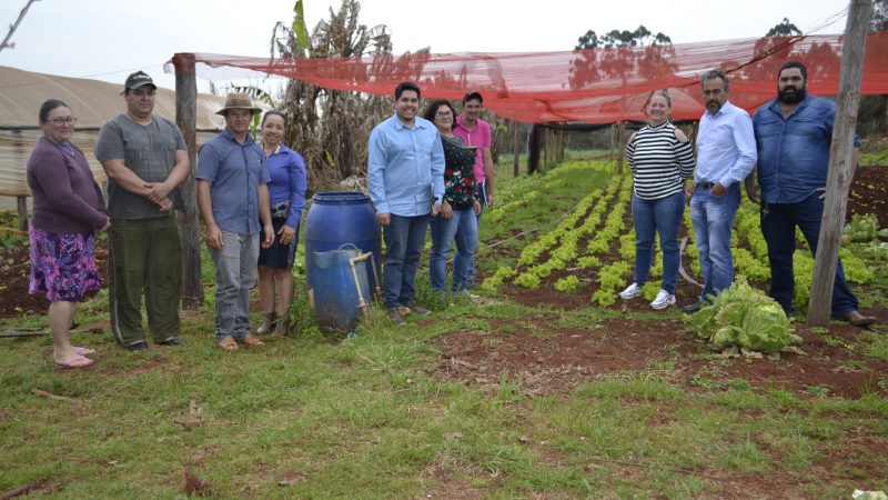 Agricultores familiares de Chiapetta buscam a certificação orgânica de produtos