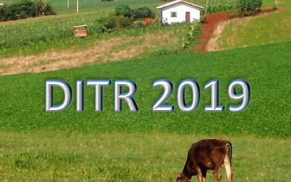 Veja Período Para Entrega da Declaração de ITR 2019