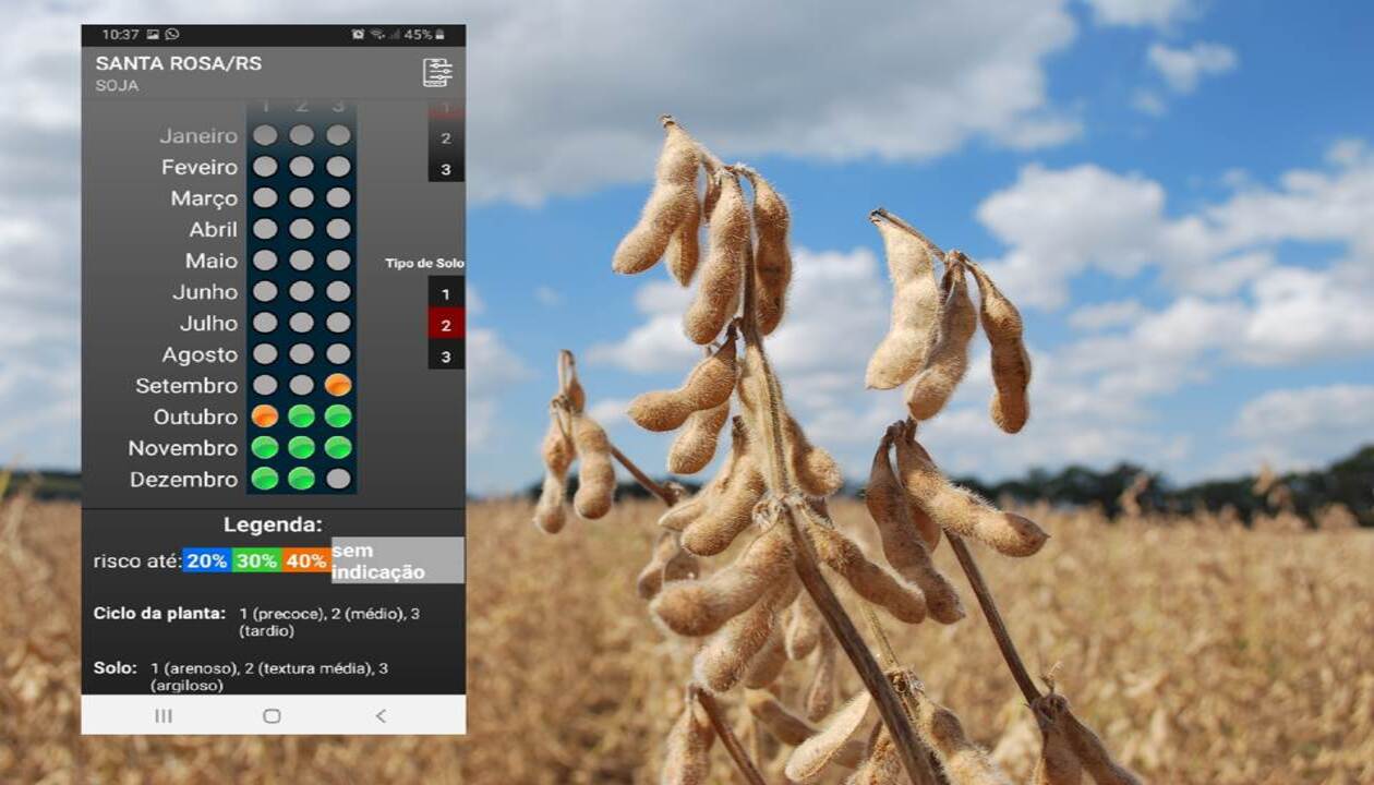 Aplicativo orienta a semeadura de verão