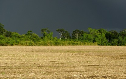 Com possível La Niña, veja como fica o clima de outubro até março