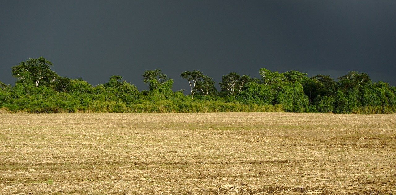 Com possível La Niña, veja como fica o clima de outubro até março