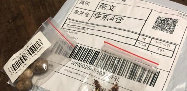 Mapa identifica presença de fungos, bactérias e ácaro em pacotes de sementes não solicitados