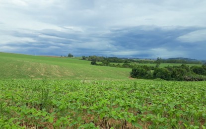 Registro de defensivos agrícolas de controle biológico chega a 76 e bate recorde em 2020