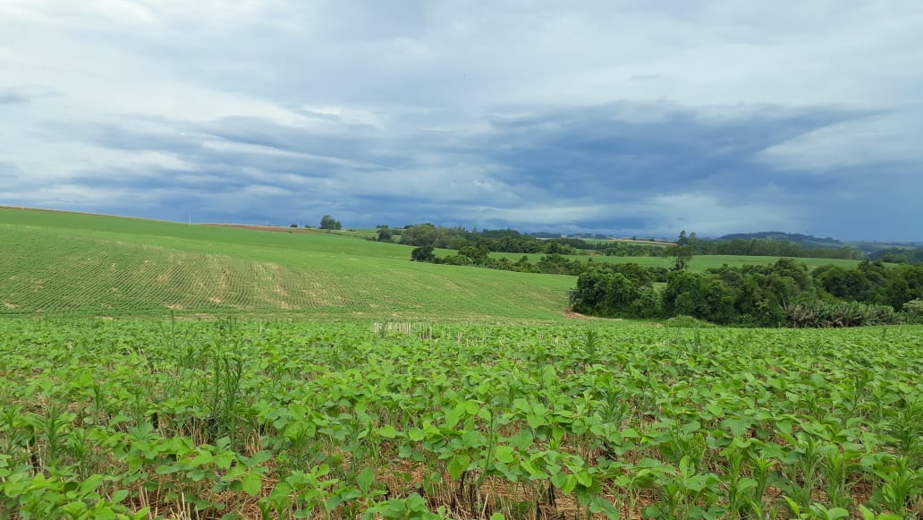 Registro de defensivos agrícolas de controle biológico chega a 76 e bate recorde em 2020