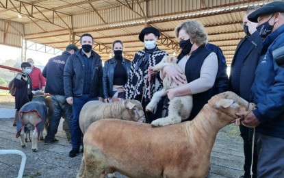 Primeiros animais chegam à Expointer 2021