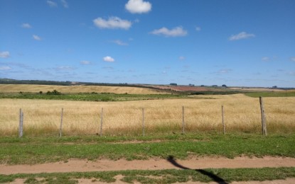 Secretaria da Agricultura publica novas instruções normativas relacionadas a agrotóxicos