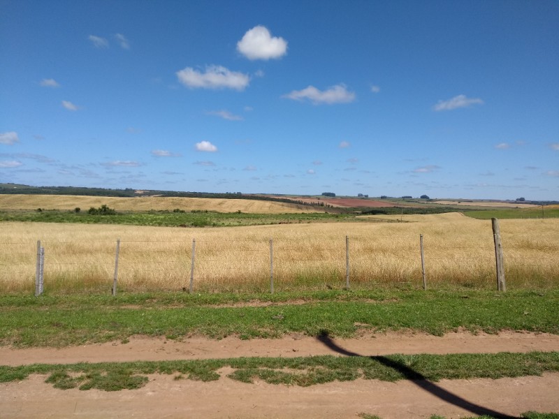 Secretaria da Agricultura publica novas instruções normativas relacionadas a agrotóxicos