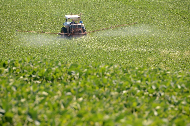 Produtores rurais voltam a ter 10 dias para declarar aplicação de agrotóxicos hormonais